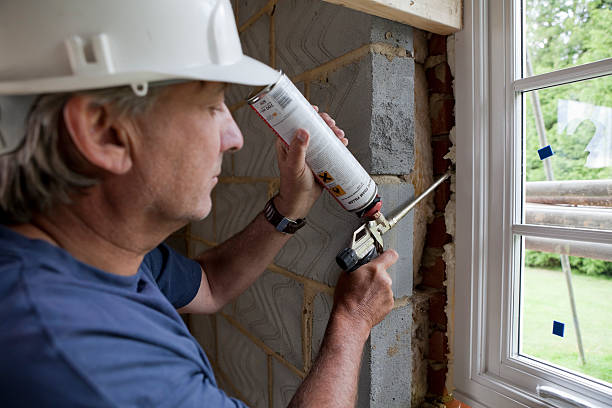 Best Geographic-Specific Insulation Services in USA